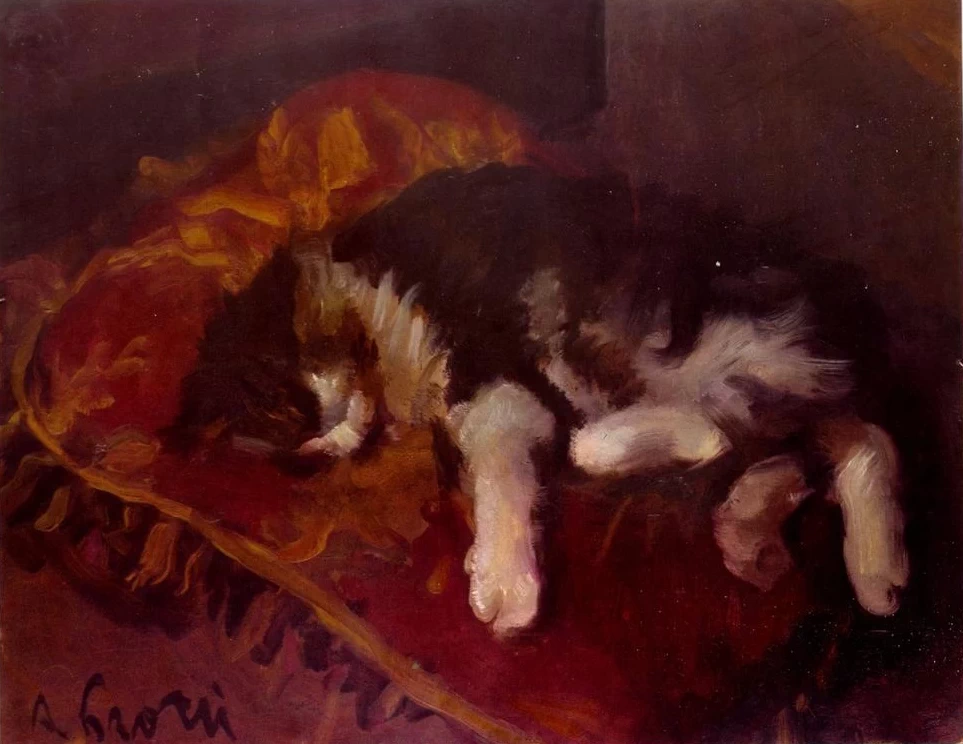 Il gatto